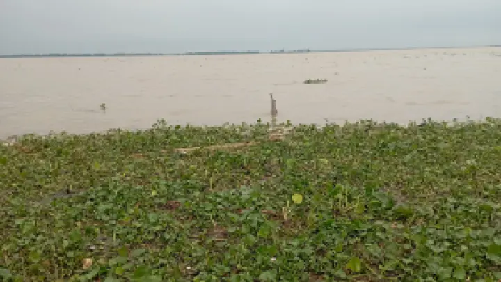 বেড়েই চলেছে যমুনার পানি